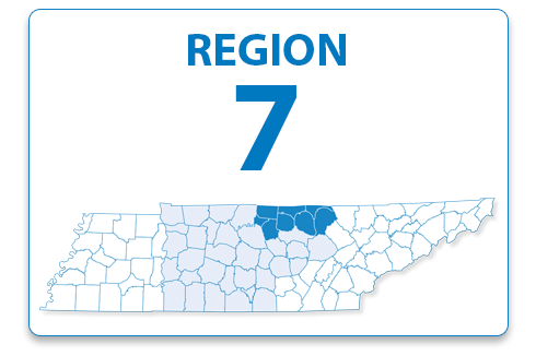 Region 7